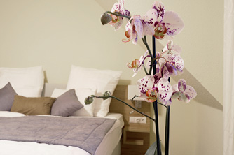 Schlafzimmer mit einem modern gestalteten Doppelbett und einem Topf rosa-weiß gefleckter Orchideen auf dem Nachttisch